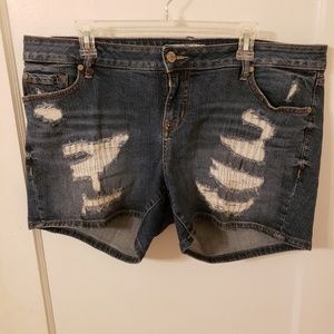Torrid- Distressed Jean Shorts,  Sz 16